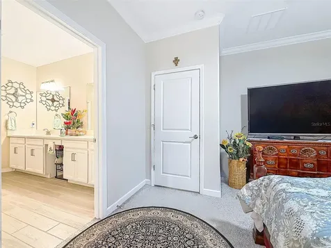 31527 Cannon Rush Drive San Antonio FL 33576