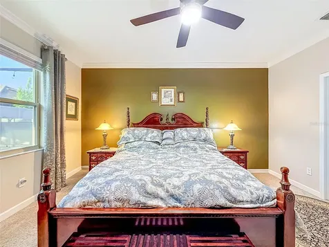 31527 Cannon Rush Drive San Antonio FL 33576
