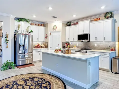 31527 Cannon Rush Drive San Antonio FL 33576