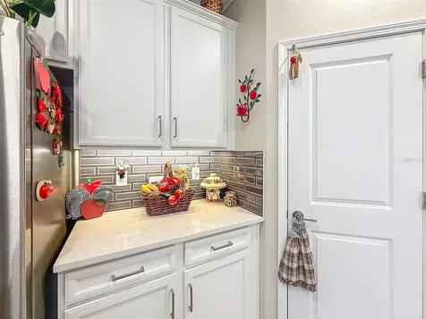 31527 Cannon Rush Drive San Antonio FL 33576