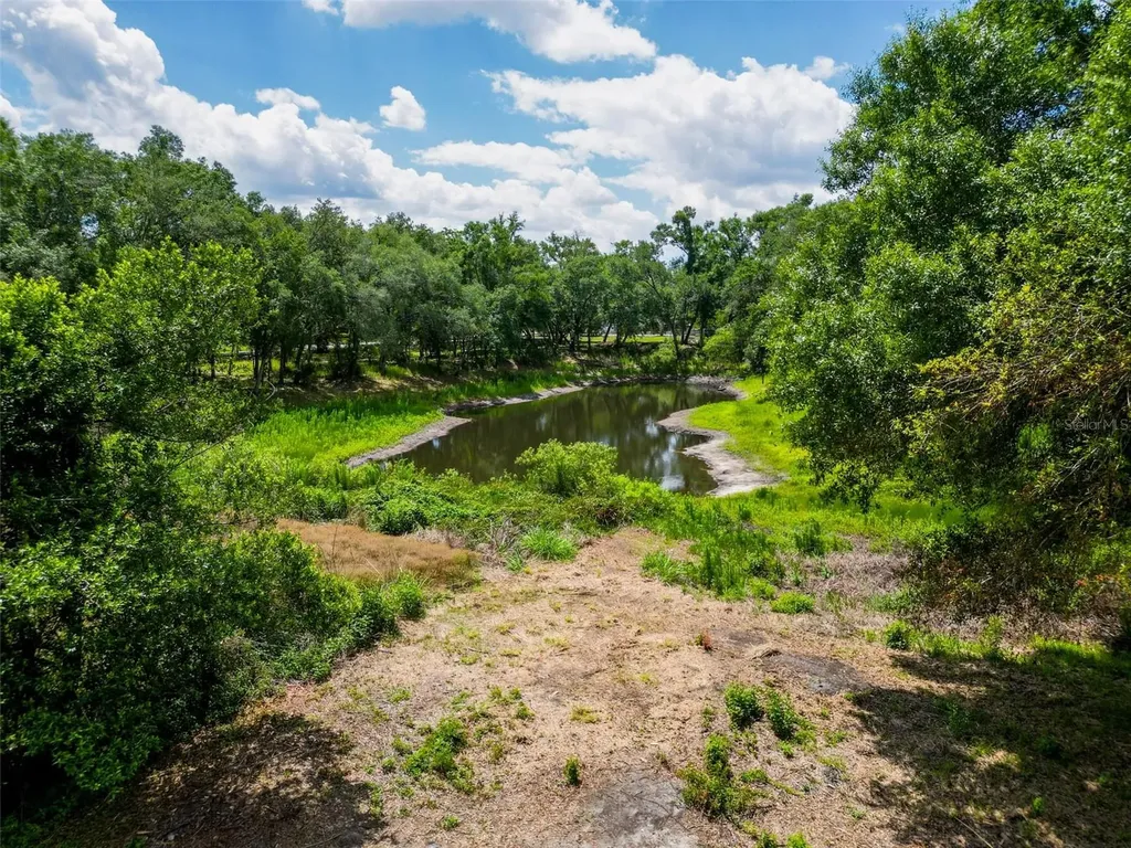 1819 Sinclair Hills Road Lutz FL 33549