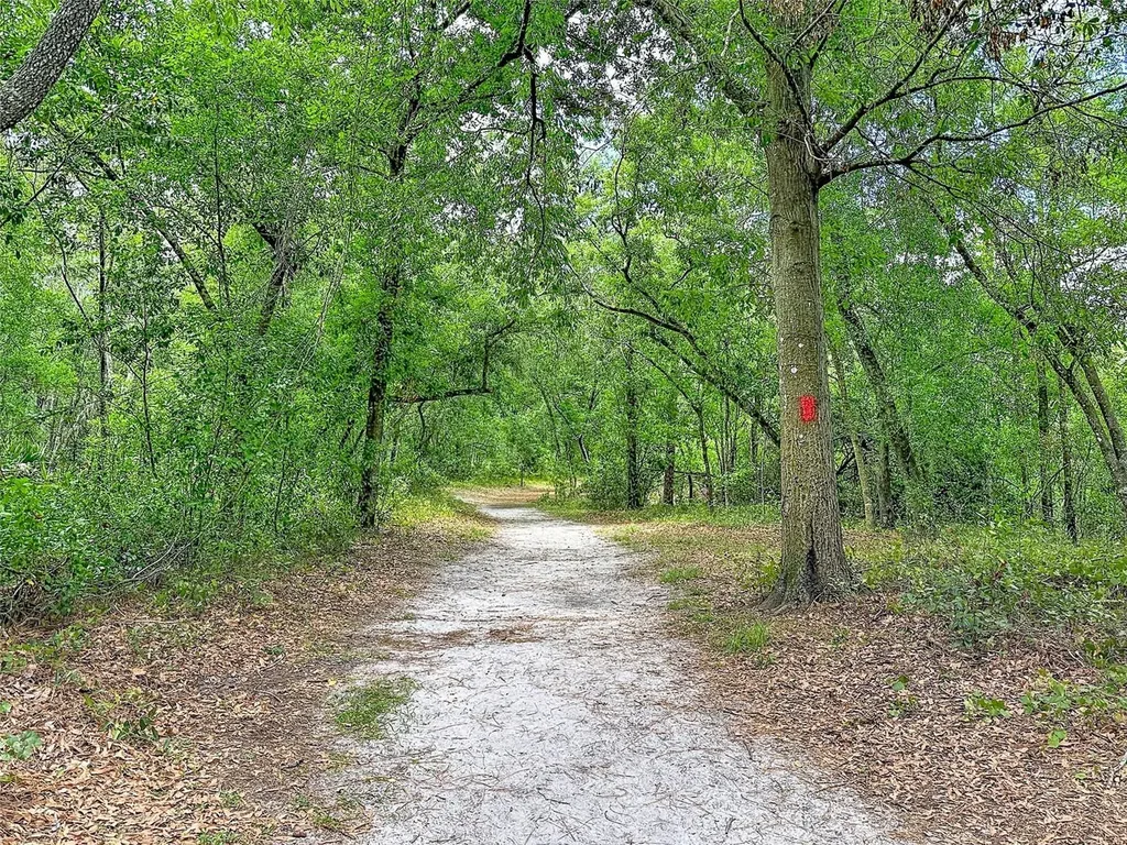 1819 Sinclair Hills Road Lutz FL 33549