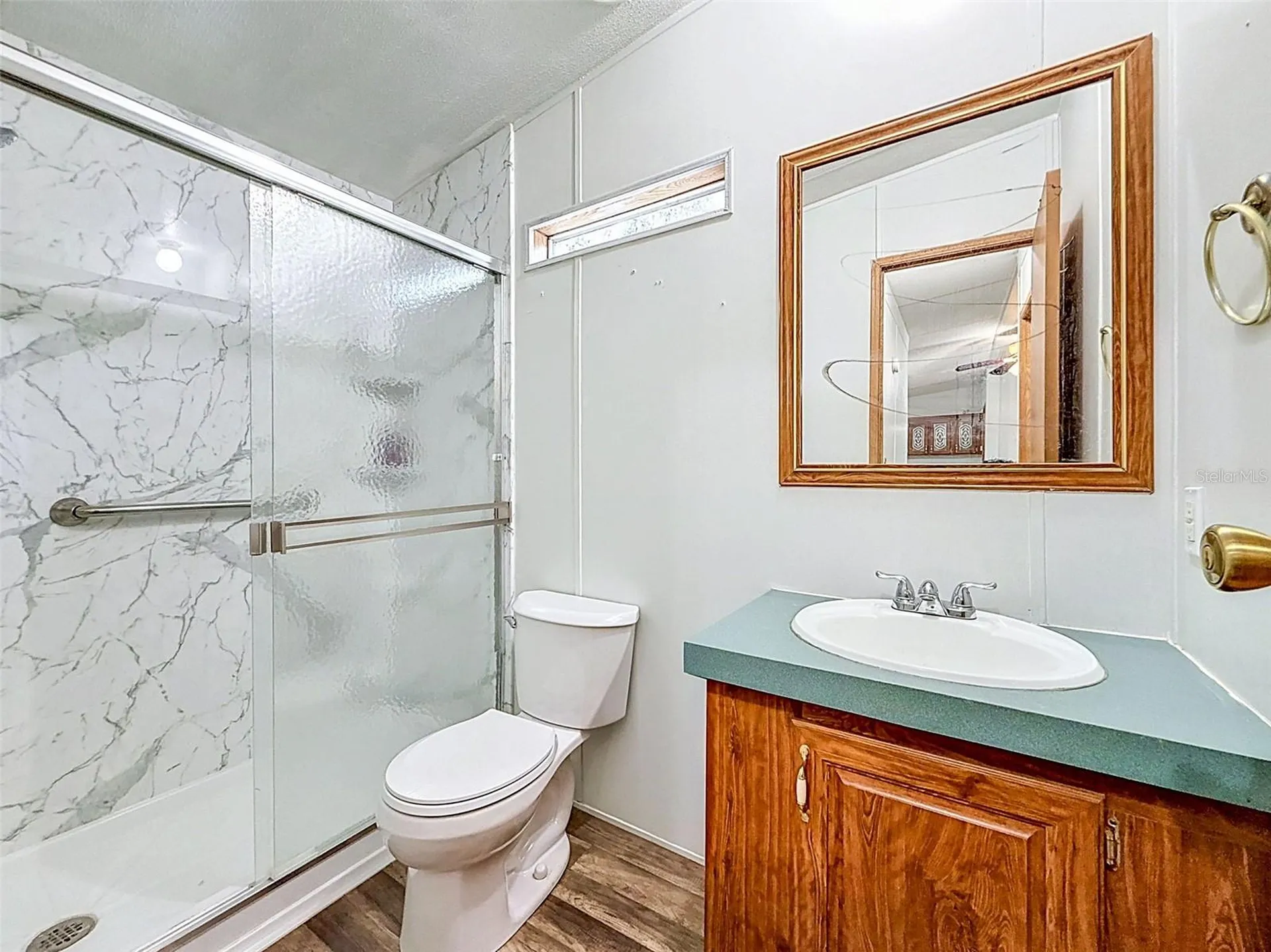 1819 Sinclair Hills Road Lutz FL 33549
