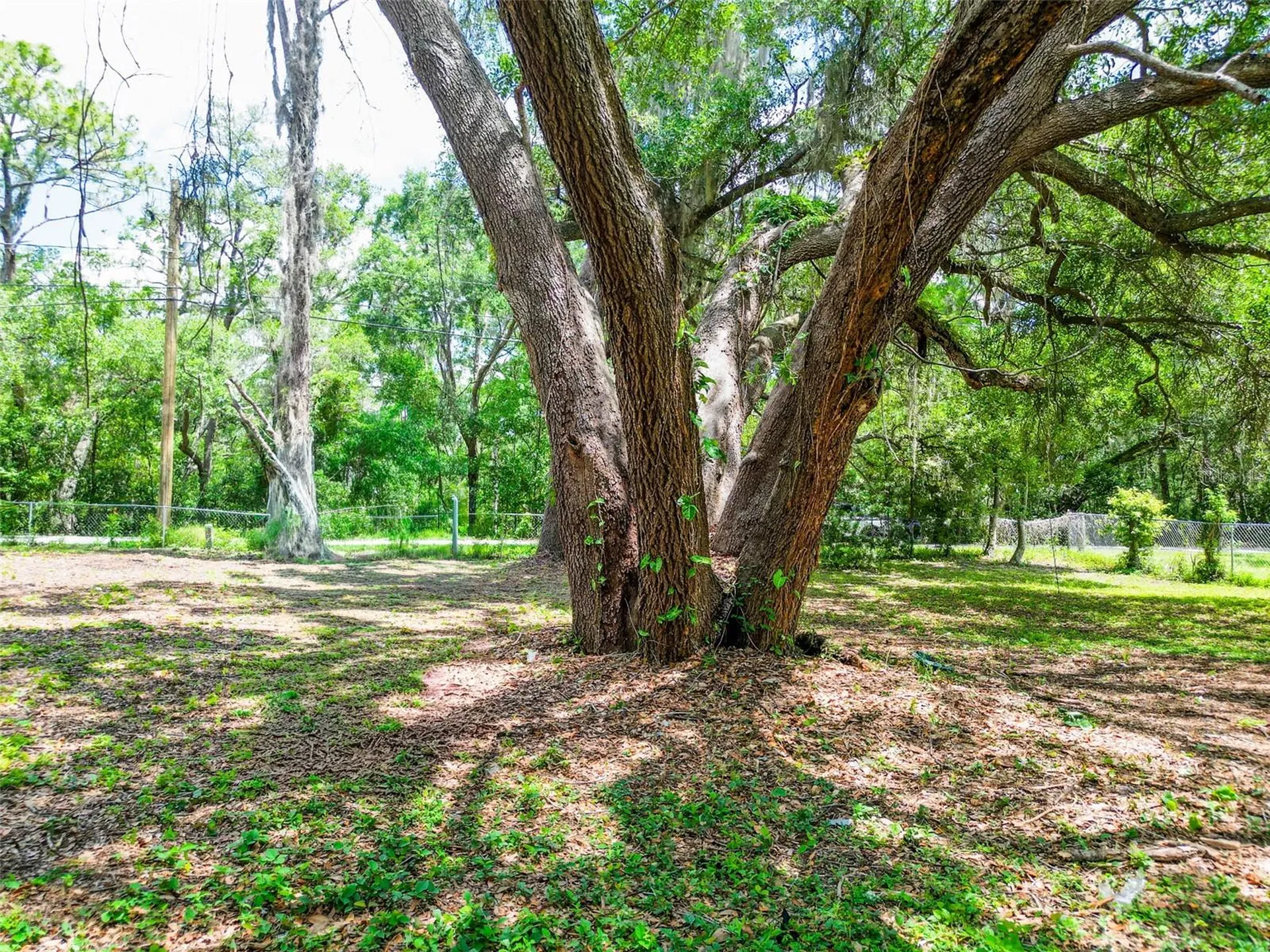 1819 Sinclair Hills Road Lutz FL 33549