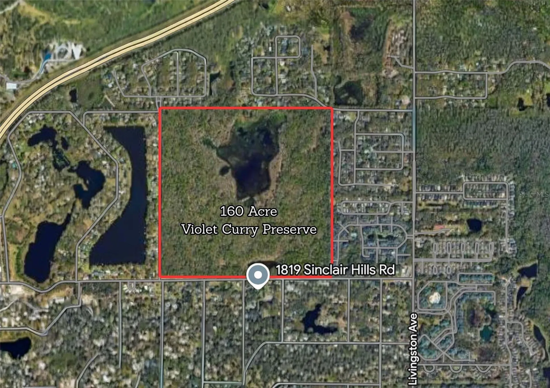 1819 Sinclair Hills Road Lutz FL 33549