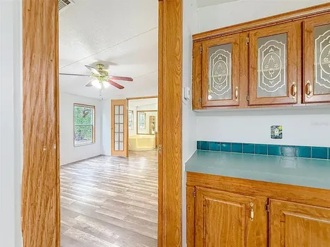 1819 Sinclair Hills Road Lutz FL 33549