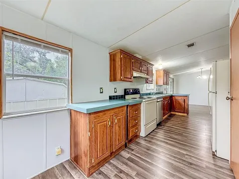 1819 Sinclair Hills Road Lutz FL 33549