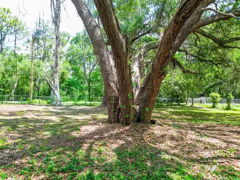 1819 Sinclair Hills Road Lutz FL 33549