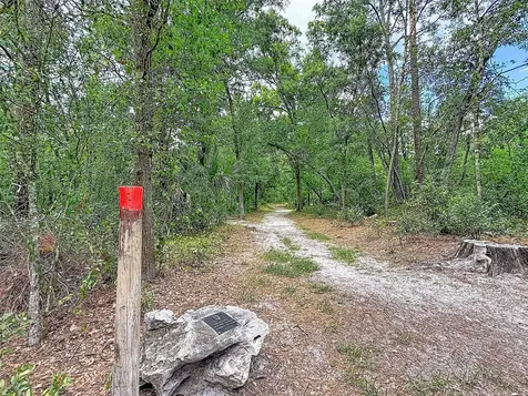 1819 Sinclair Hills Road Lutz FL 33549