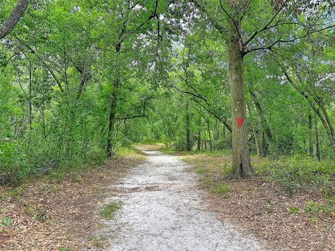 1819 Sinclair Hills Road Lutz FL 33549