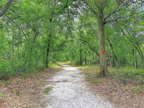 1819 Sinclair Hills Road Lutz FL 33549