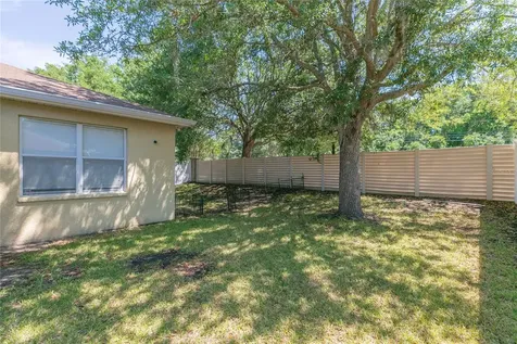 11334 Bridge Pine Drive Riverview FL 33569