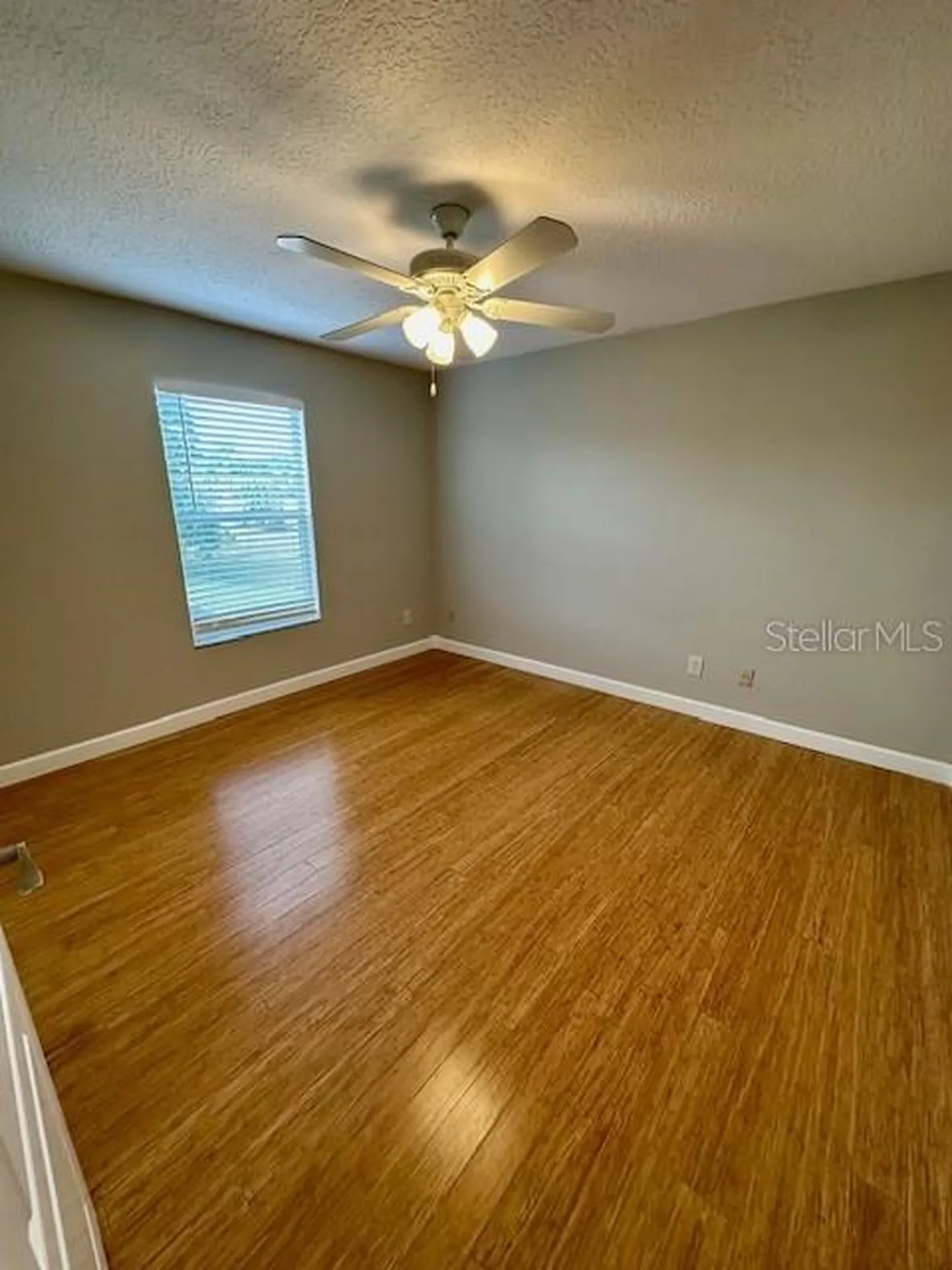 10274 Cove Lake Drive Orlando FL 32836