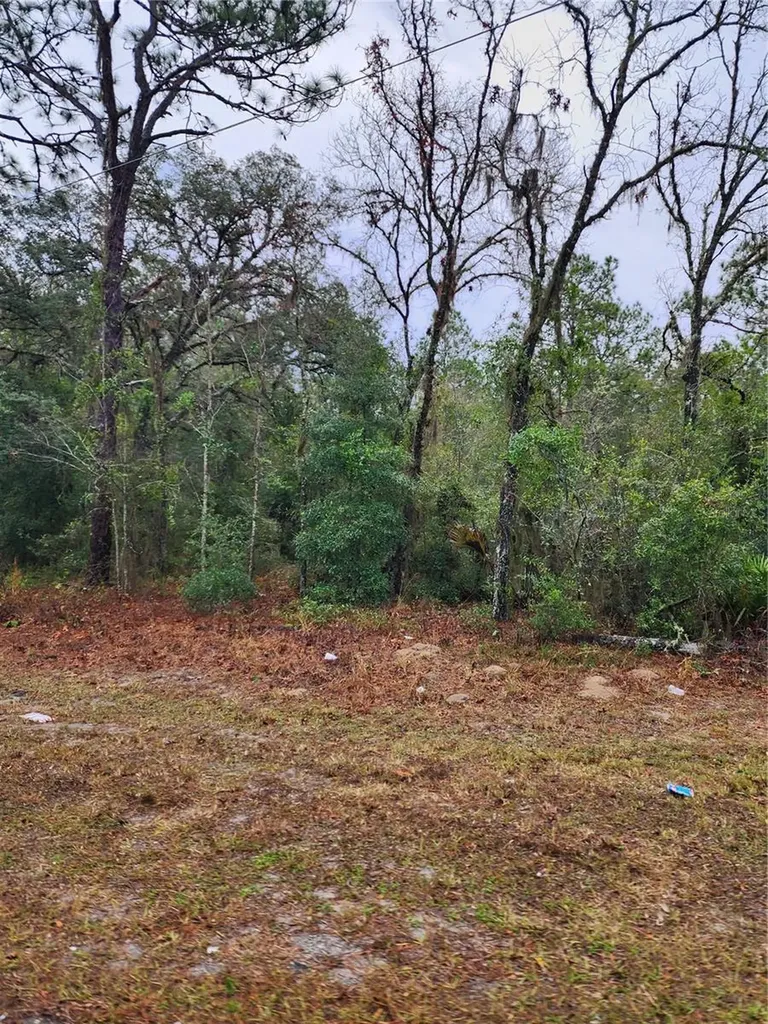 7360 W Dunnellon Road Dunnellon FL 34433