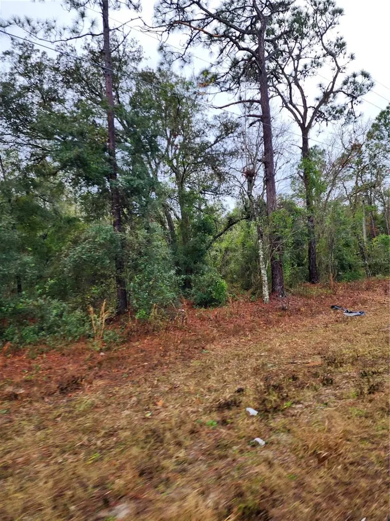 7360 W Dunnellon Road Dunnellon FL 34433