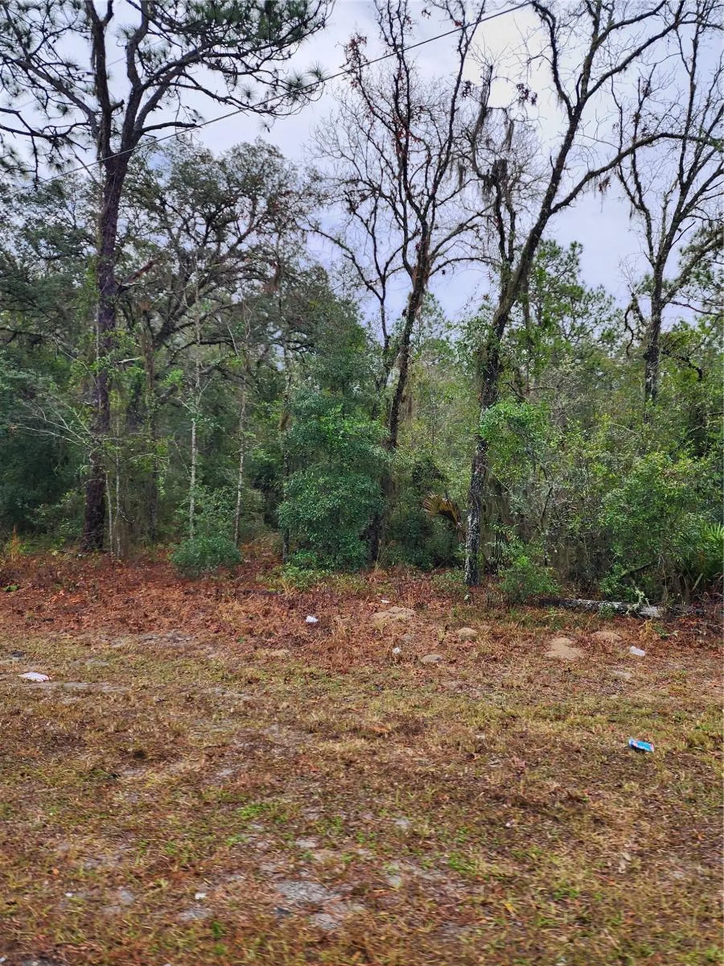 7360 W Dunnellon Road Dunnellon FL 34433