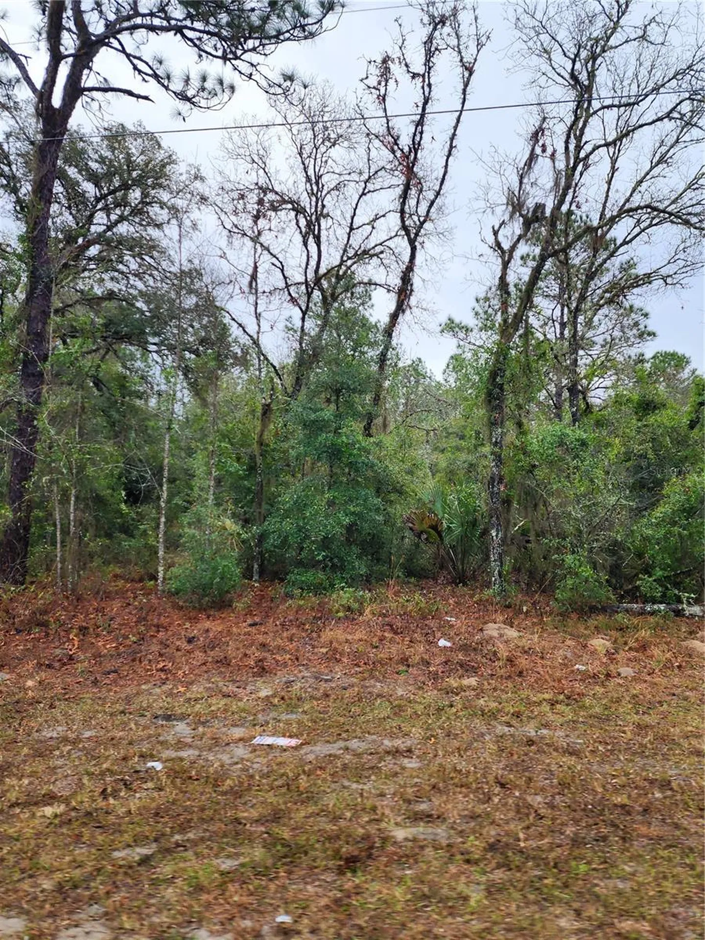 7360 W Dunnellon Road Dunnellon FL 34433