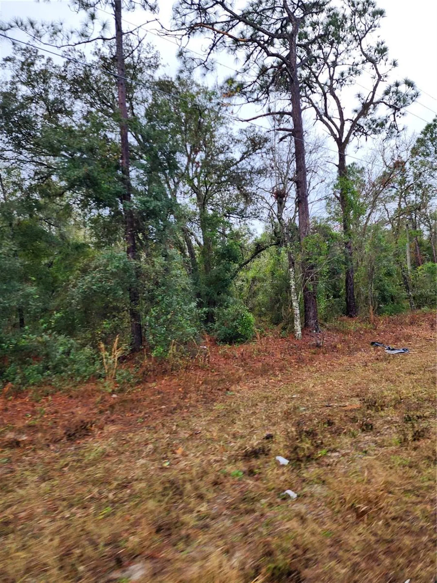 7360 W Dunnellon Road Dunnellon FL 34433