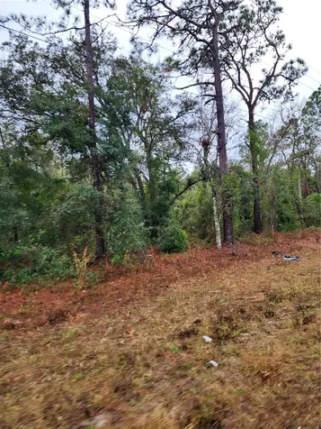 7360 W Dunnellon Road Dunnellon FL 34433