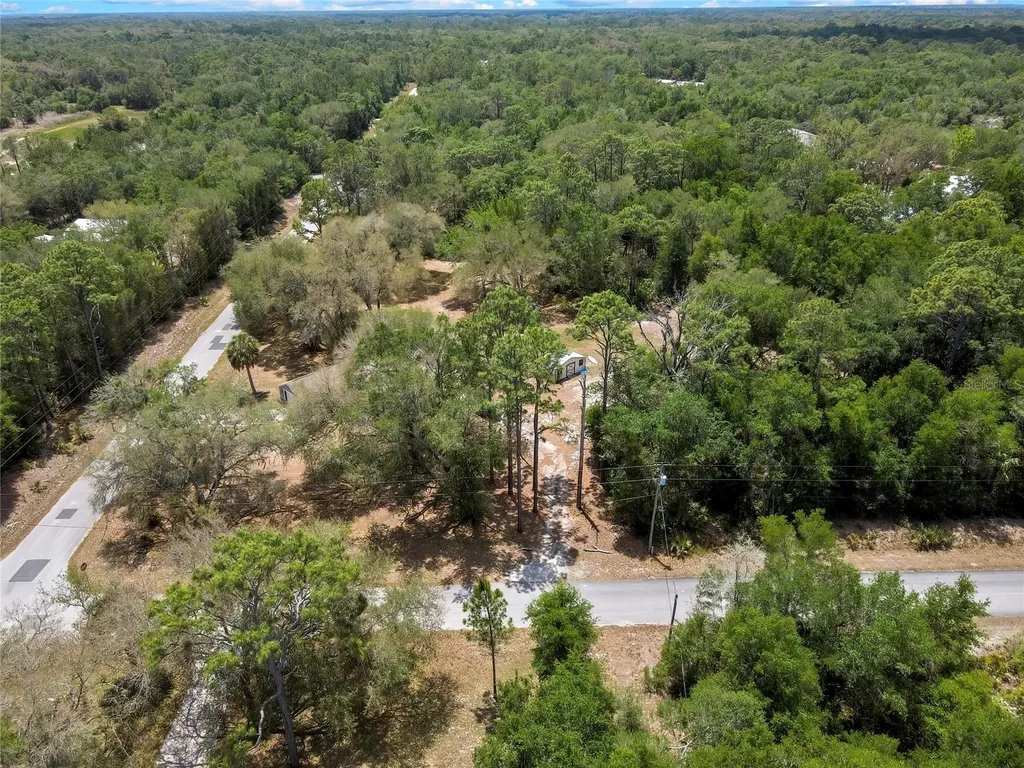 9690 N Alder Avenue Crystal River FL 34428