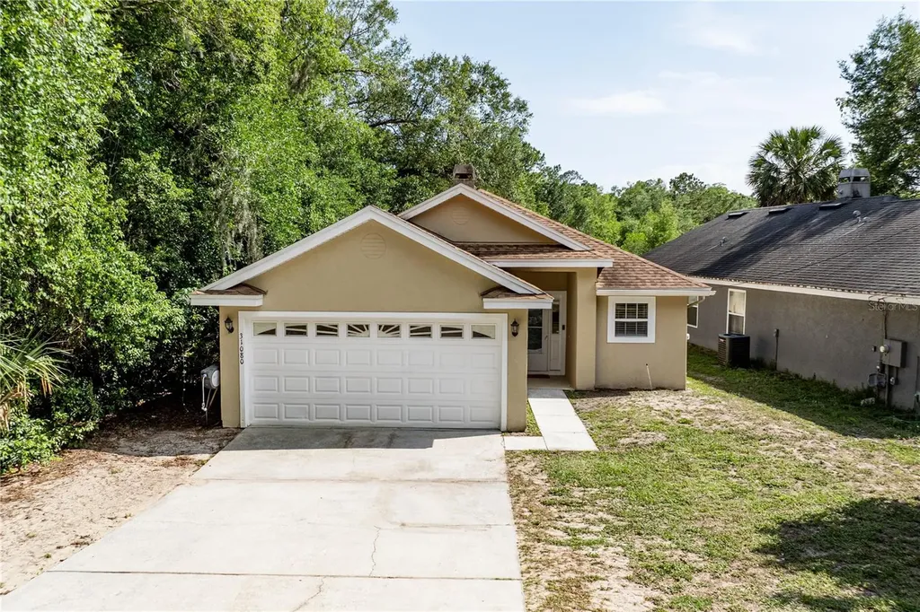 31080 Lochmore Circle Sorrento FL 32776