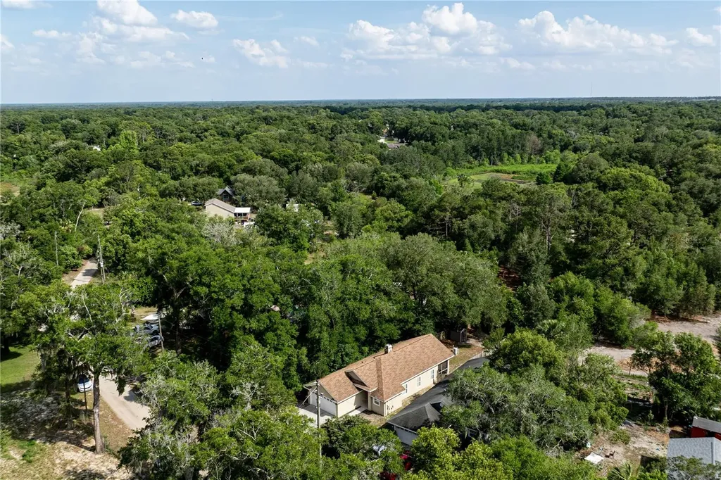 31080 Lochmore Circle Sorrento FL 32776
