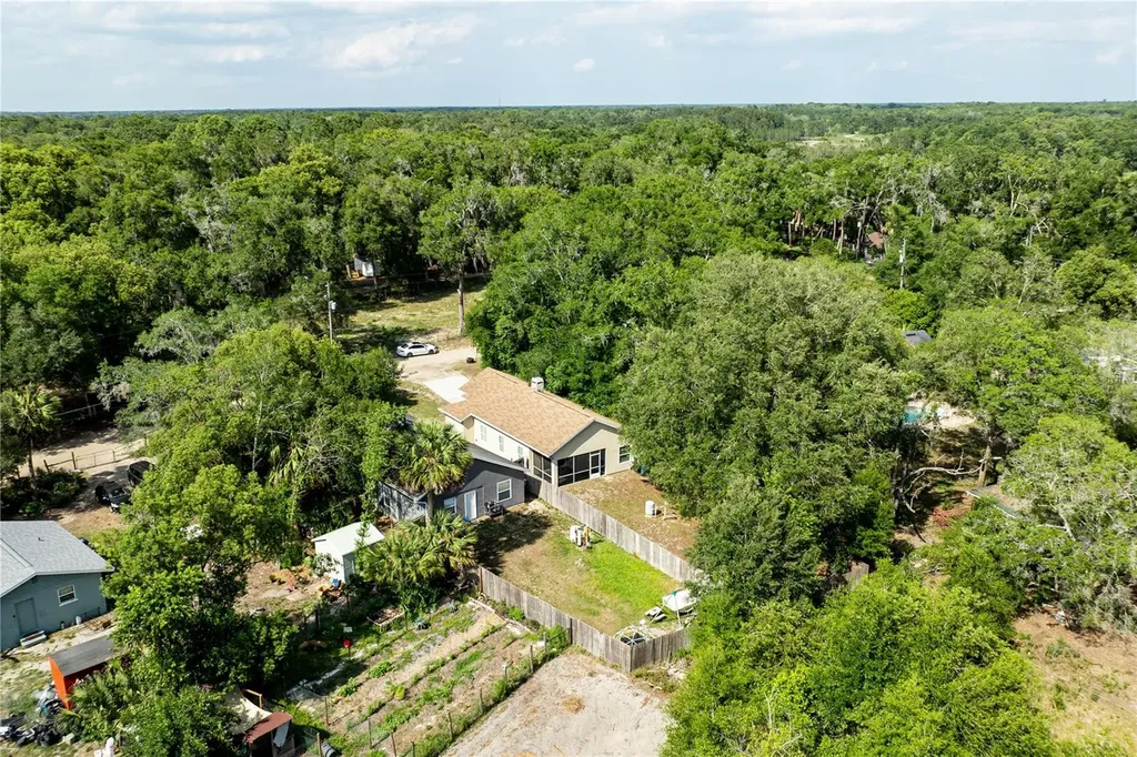 31080 Lochmore Circle Sorrento FL 32776