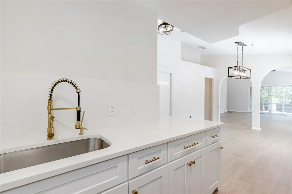 31080 Lochmore Circle Sorrento FL 32776