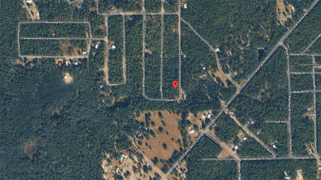 169 E Lura Lane Florahome FL 32140