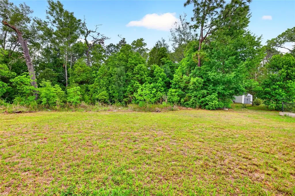 14676 SW 43rd Court Road Ocala FL 34473