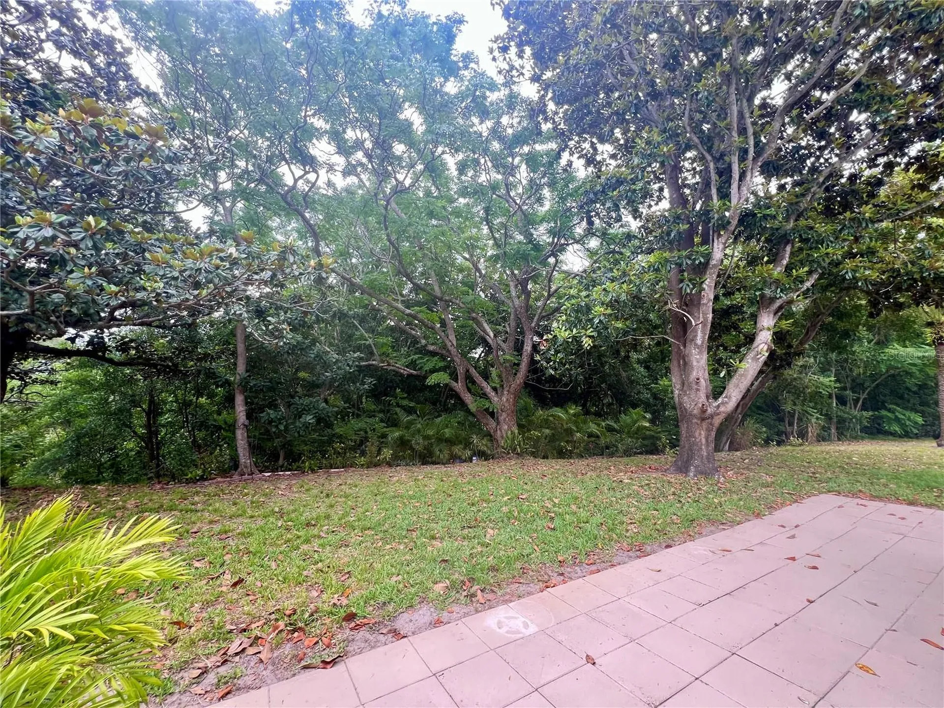 1349 Mission Circle Clearwater FL 33759