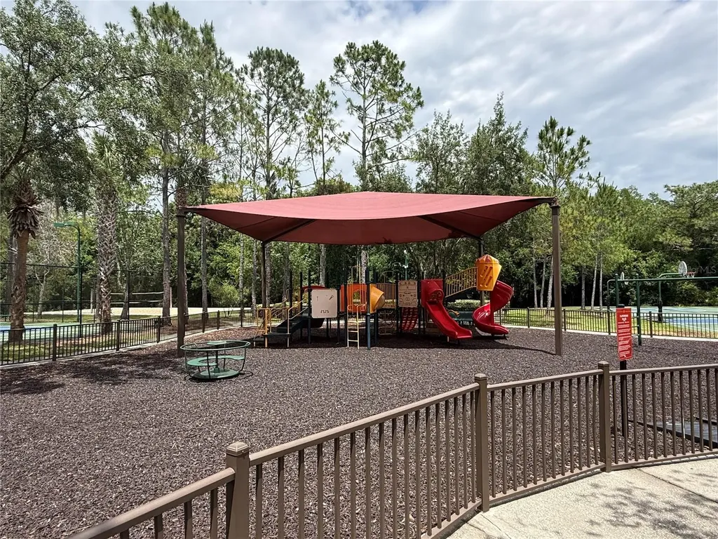 31203 Flannery Court Wesley Chapel FL 33543