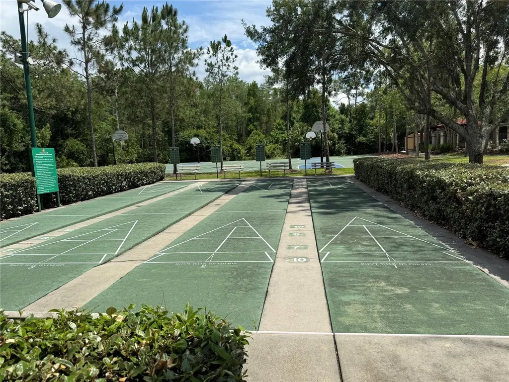 31203 Flannery Court Wesley Chapel FL 33543