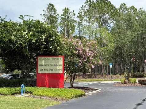 31203 Flannery Court Wesley Chapel FL 33543