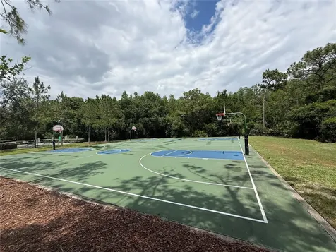 31203 Flannery Court Wesley Chapel FL 33543