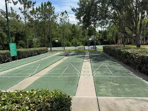 31203 Flannery Court Wesley Chapel FL 33543