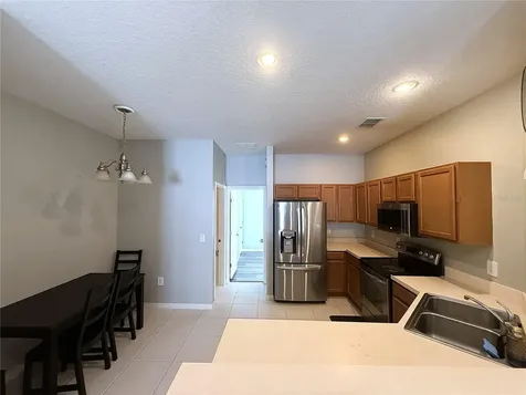 31203 Flannery Court Wesley Chapel FL 33543