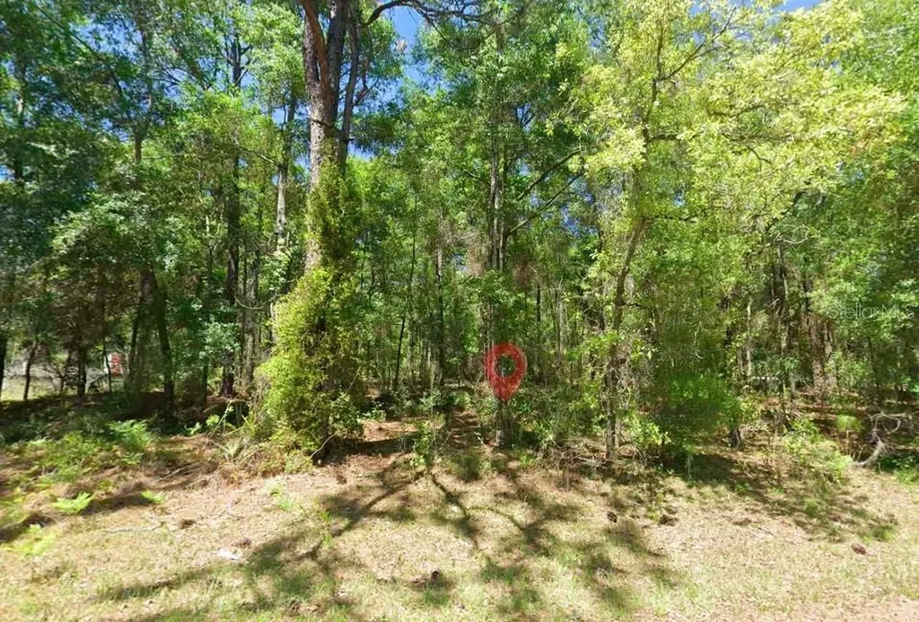 2581 W Pharaoh Court Lecanto FL 34461
