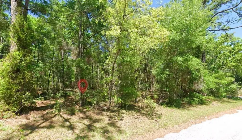 2581 W Pharaoh Court Lecanto FL 34461