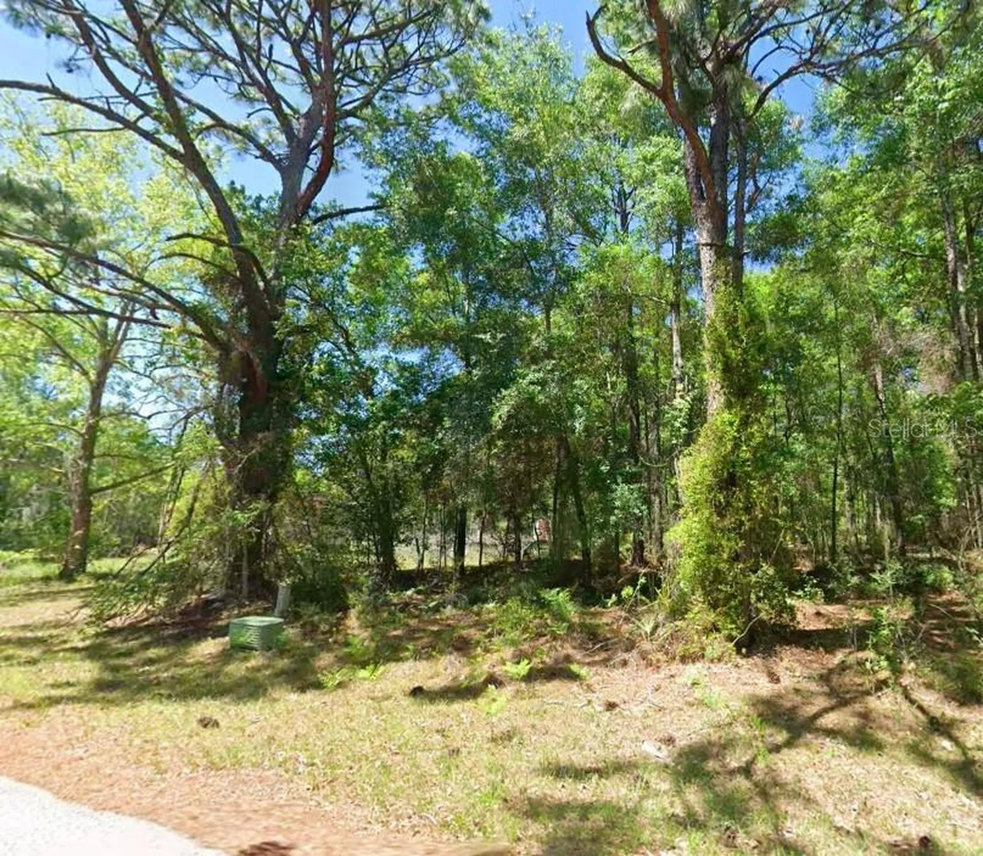 2581 W Pharaoh Court Lecanto FL 34461