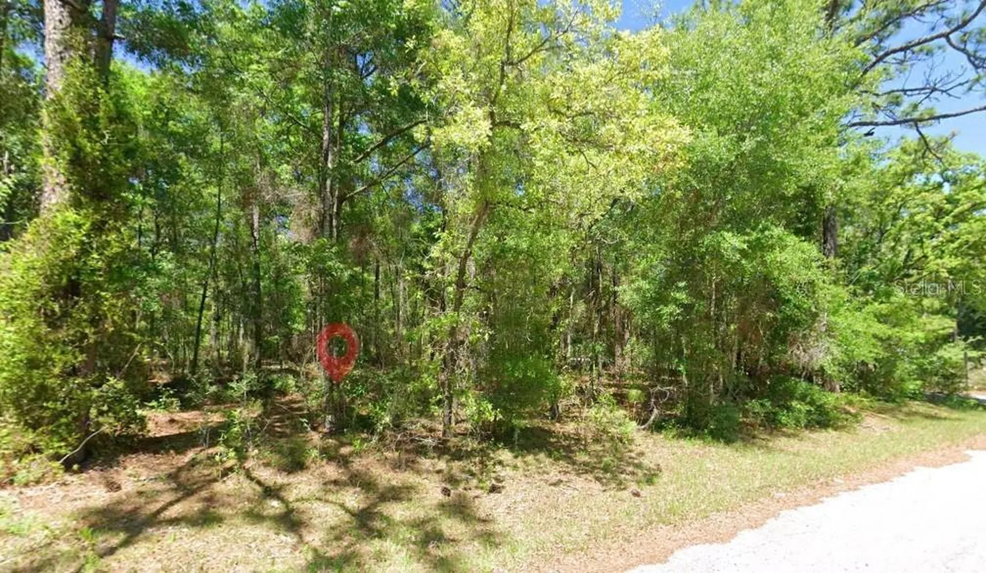 2581 W Pharaoh Court Lecanto FL 34461