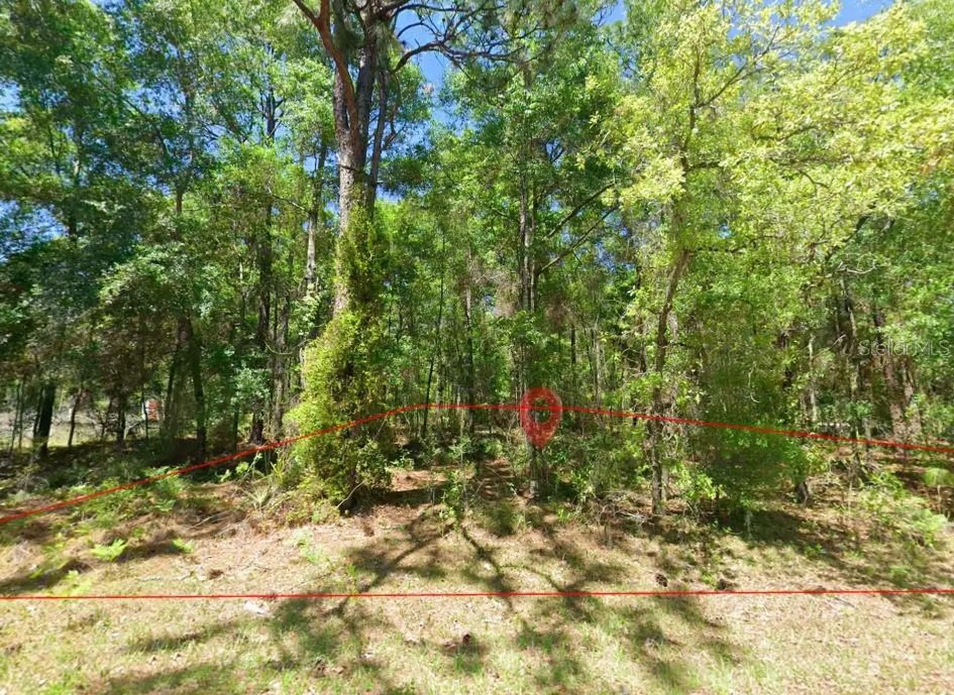 2581 W Pharaoh Court Lecanto FL 34461
