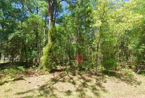 2581 W Pharaoh Court Lecanto FL 34461