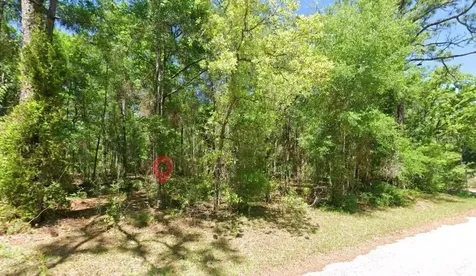 2581 W Pharaoh Court Lecanto FL 34461