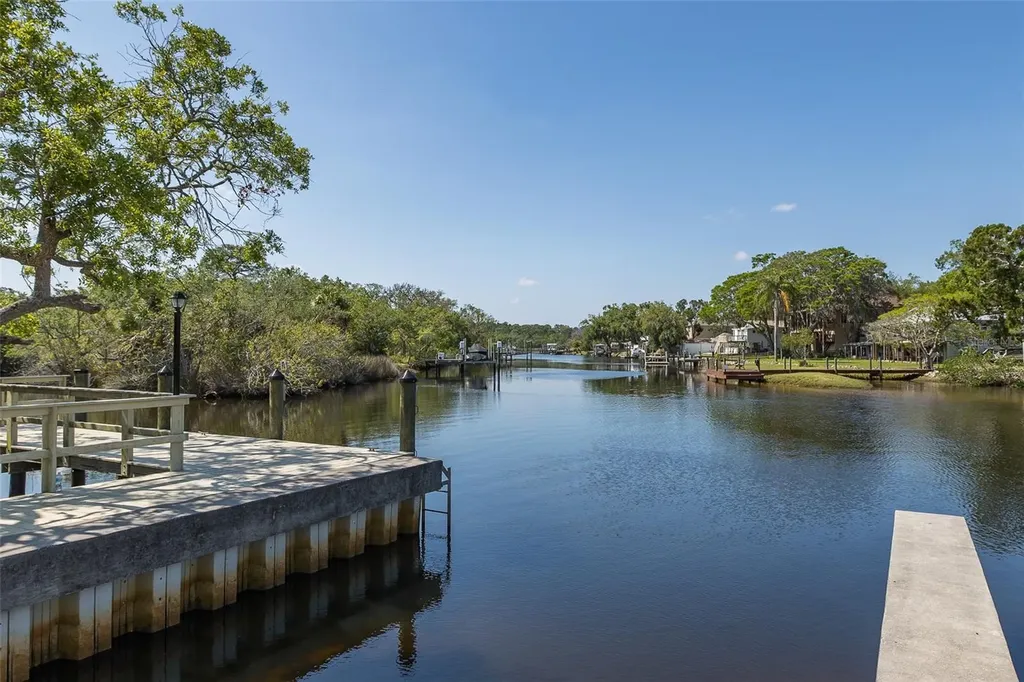 1739 Mountain Ash Way New Port Richey FL 34655
