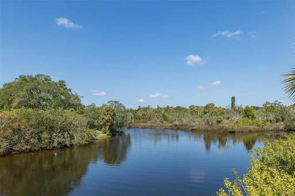 1739 Mountain Ash Way New Port Richey FL 34655