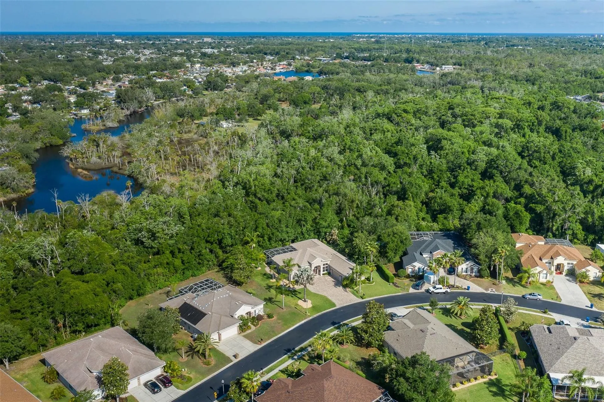 1739 Mountain Ash Way New Port Richey FL 34655