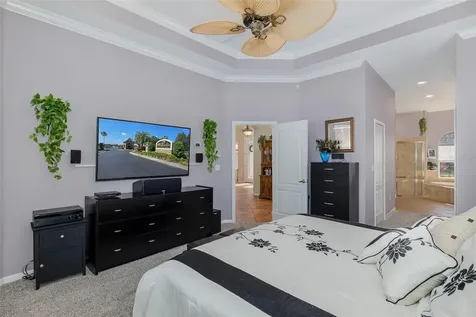 1739 Mountain Ash Way New Port Richey FL 34655