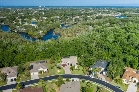 1739 Mountain Ash Way New Port Richey FL 34655