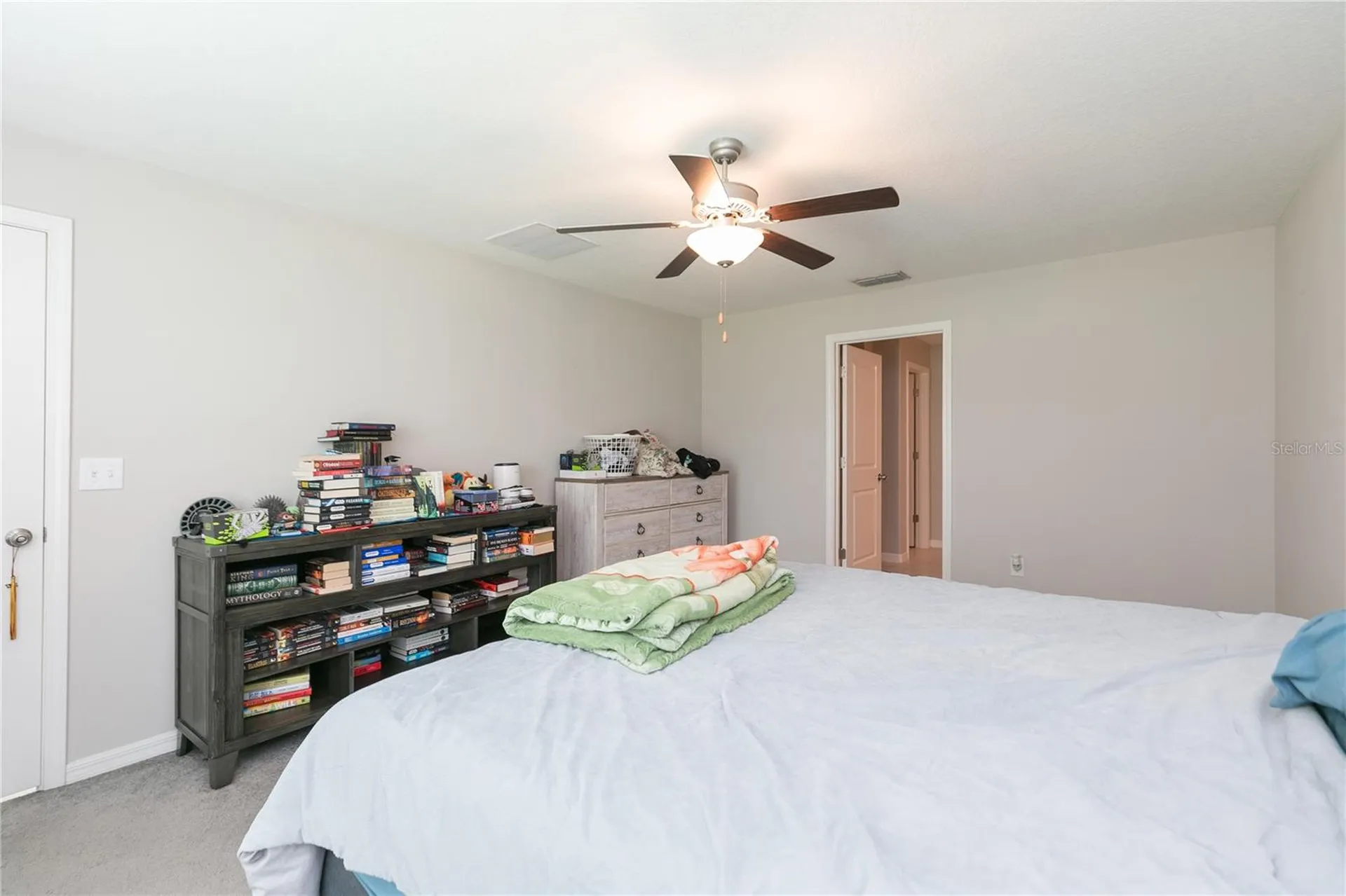13608 Willow Bluestar Loop Riverview FL 33579